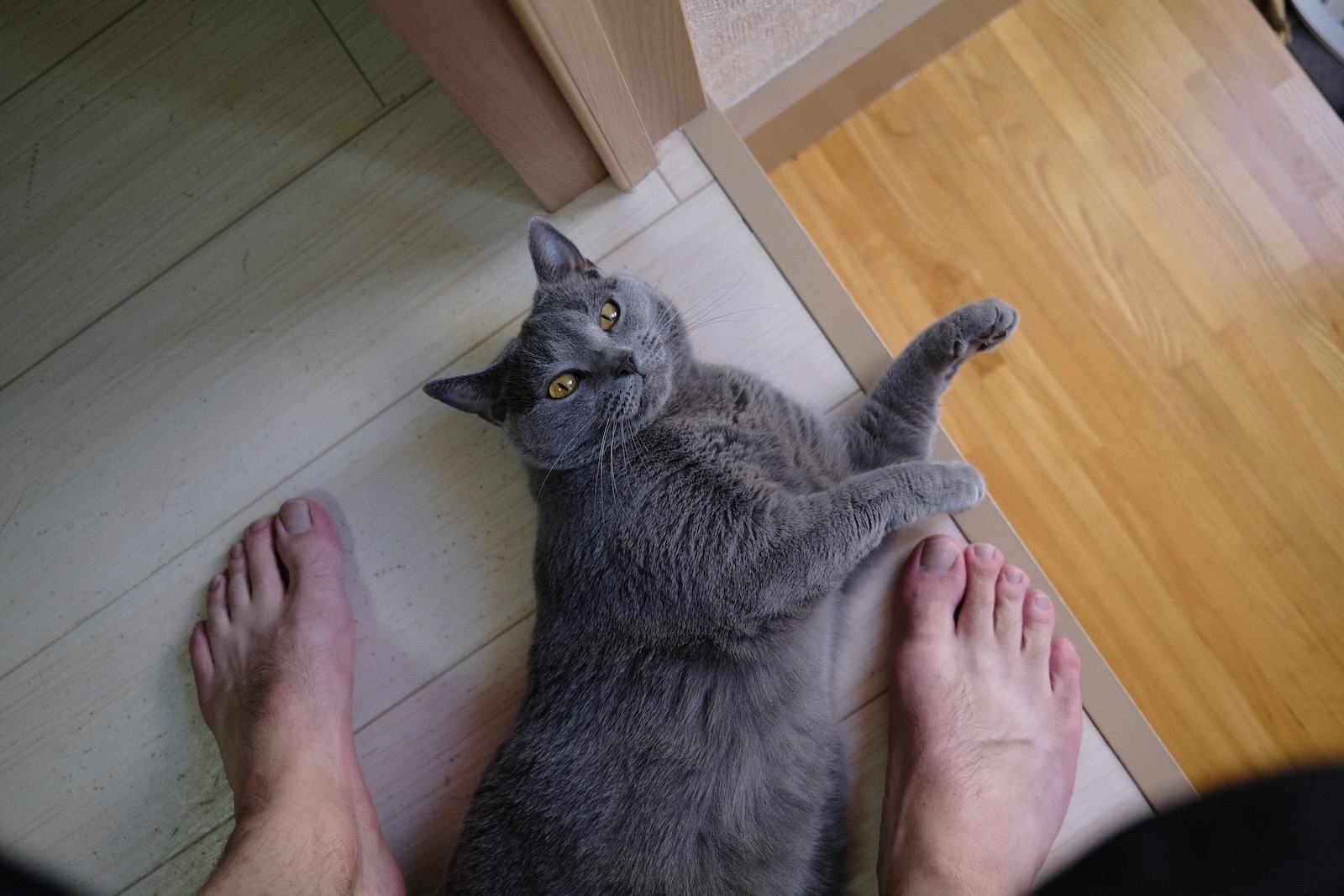 梅ちゃん