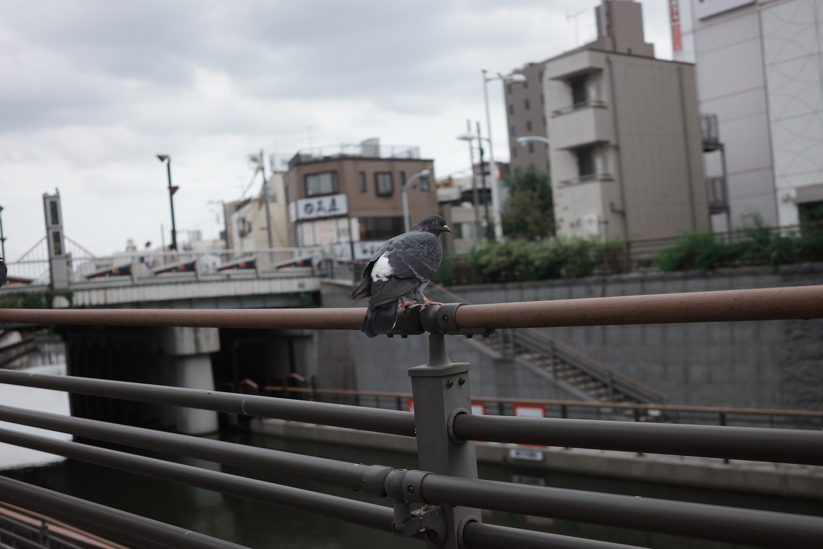 散歩