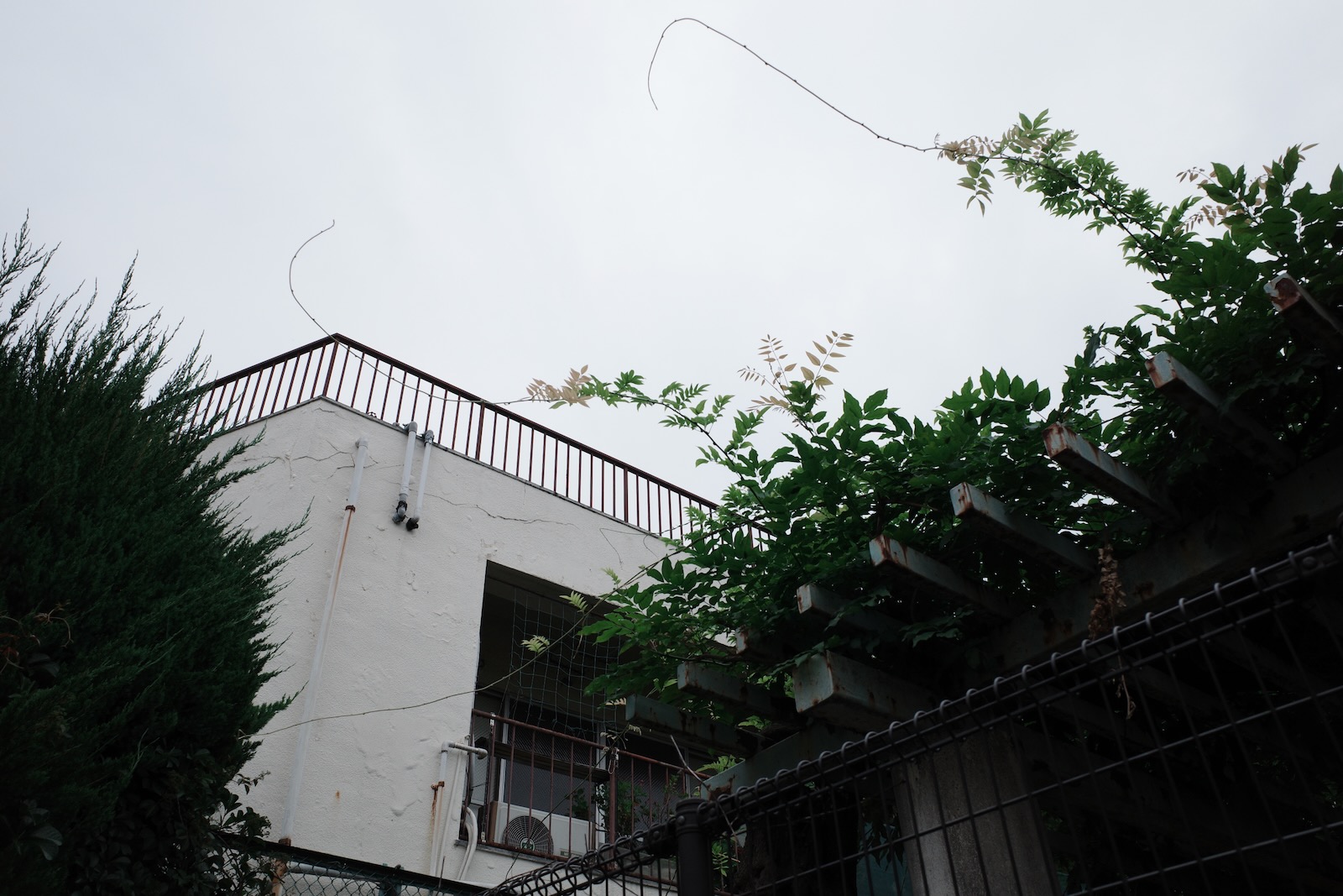 散歩