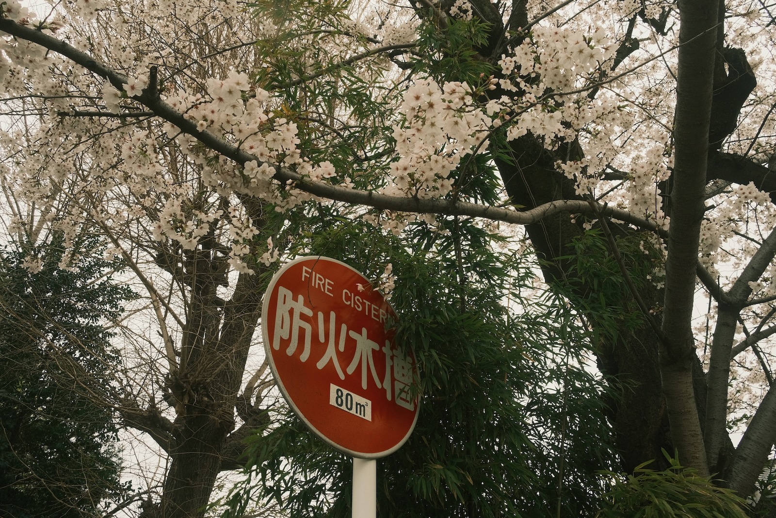 散歩
