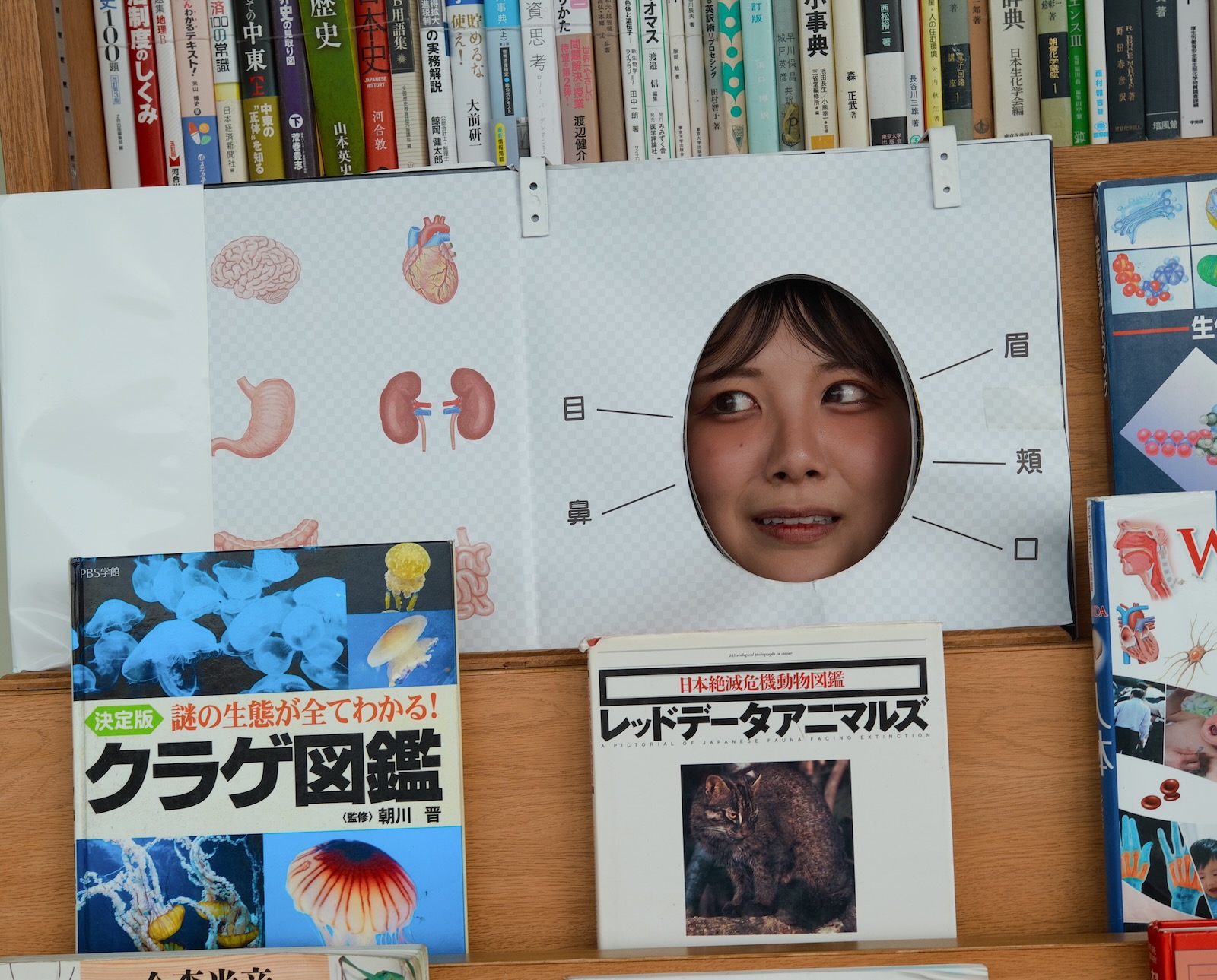 速写