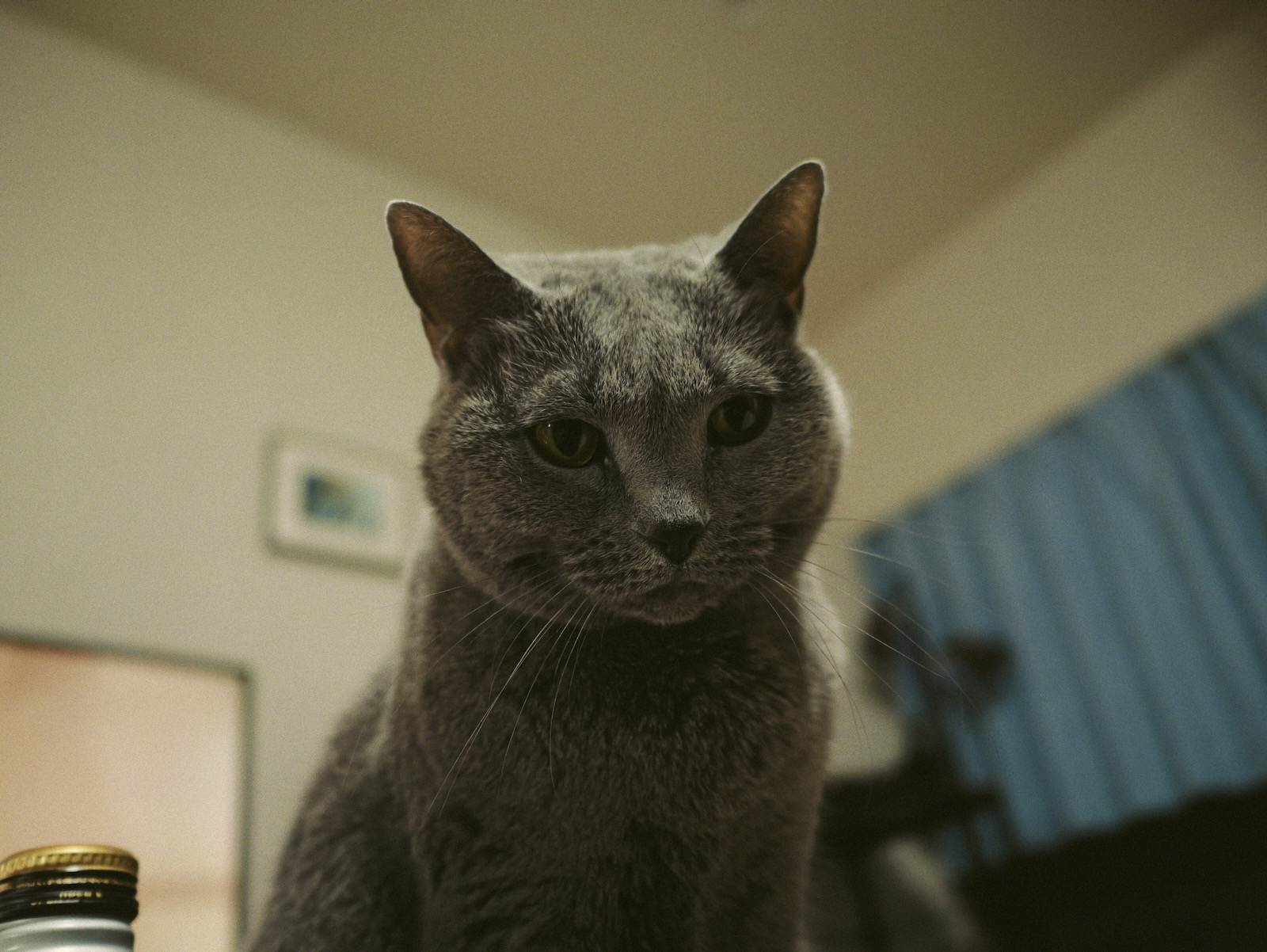速写