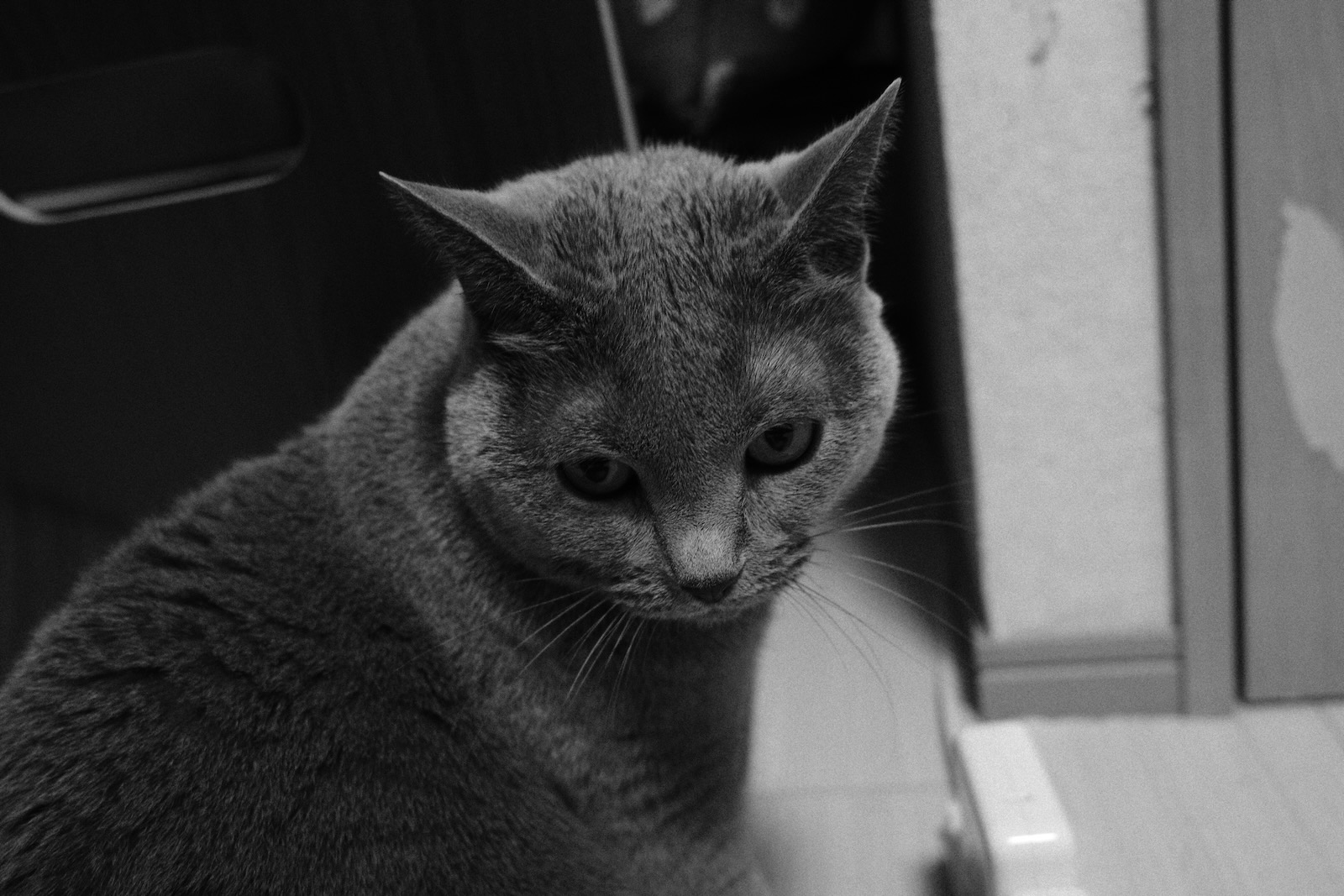 速写