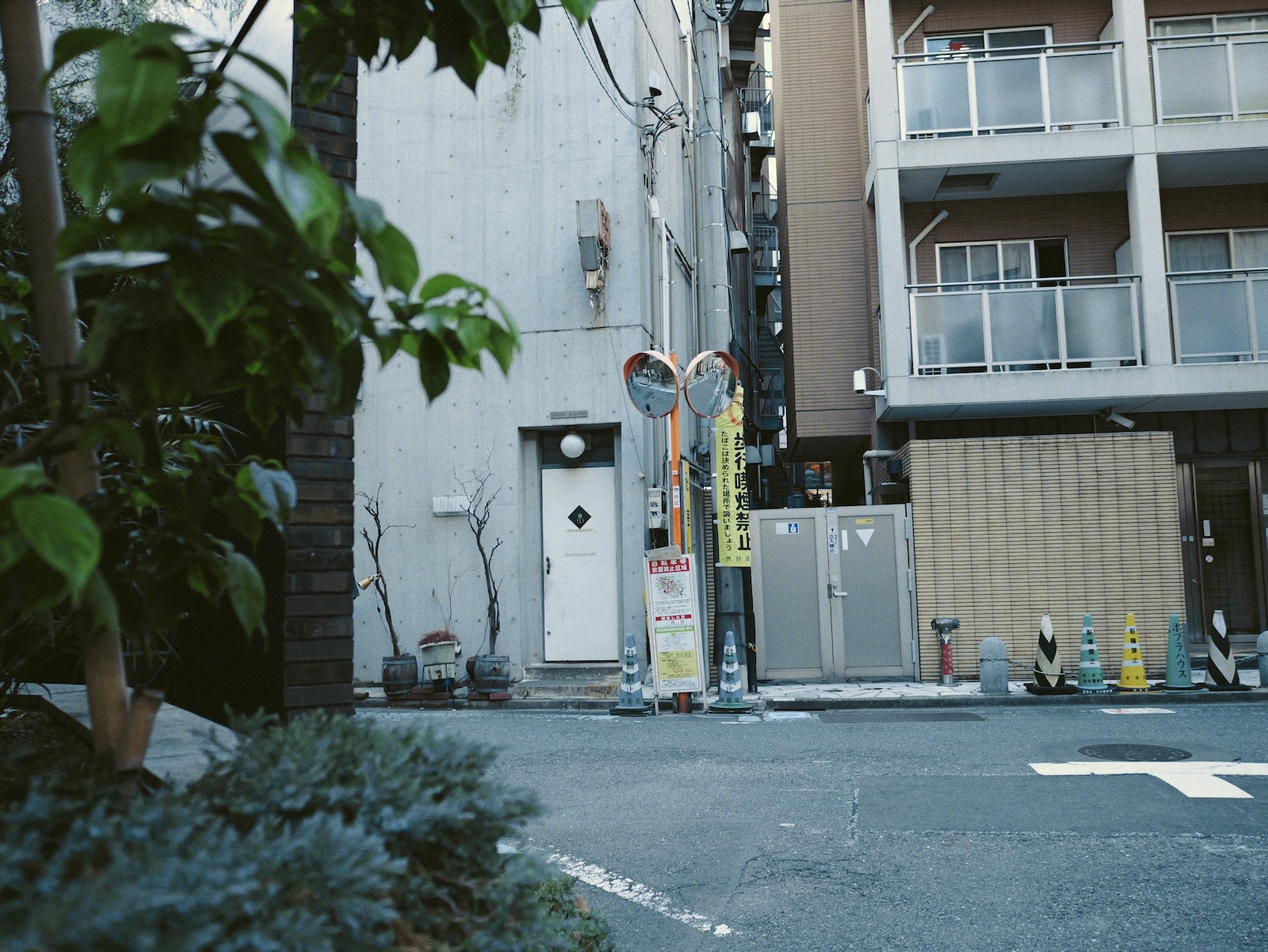 散歩