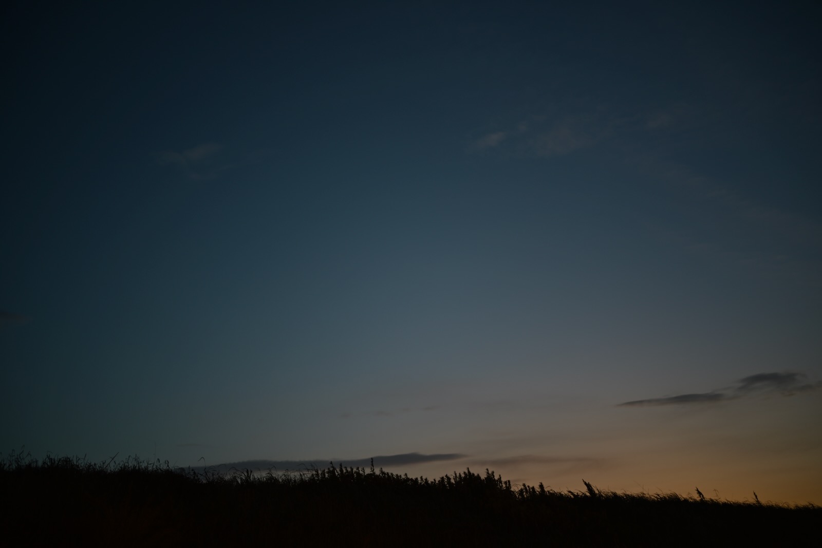 夜