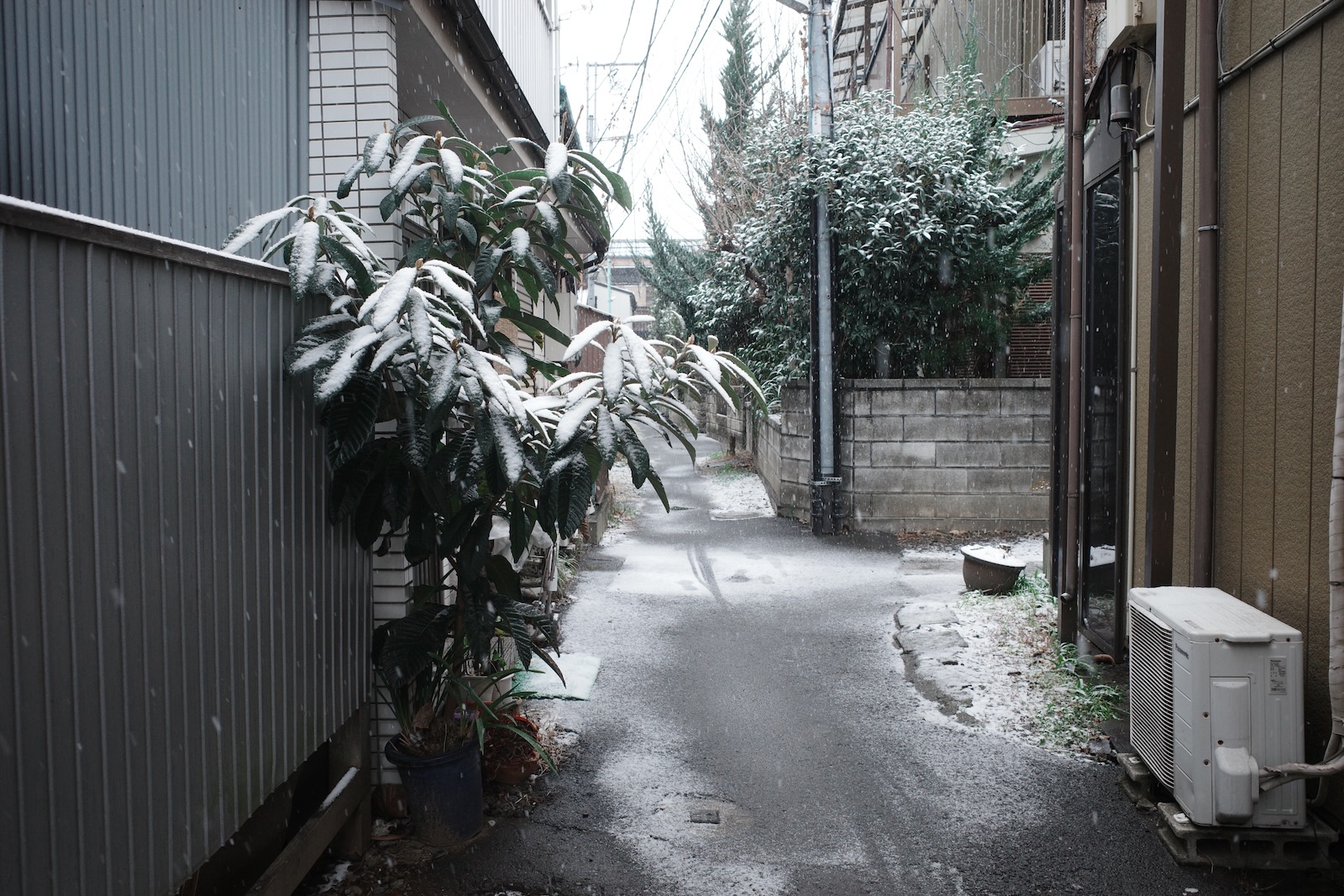 雪