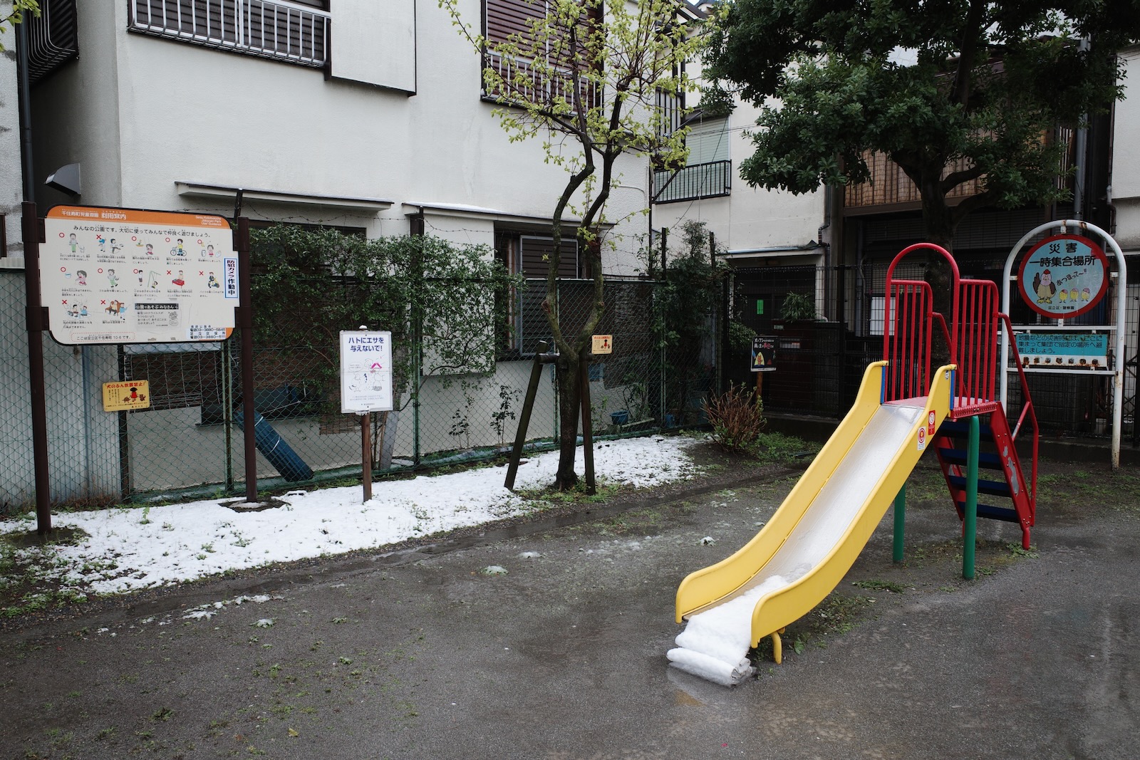 雪