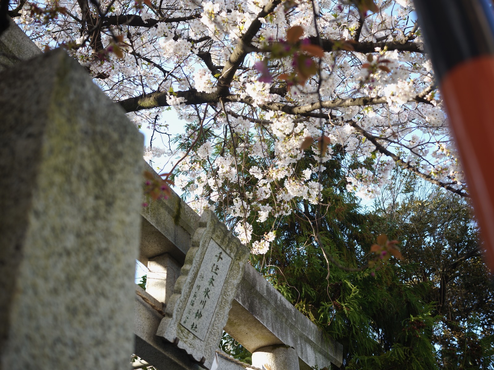 散歩
