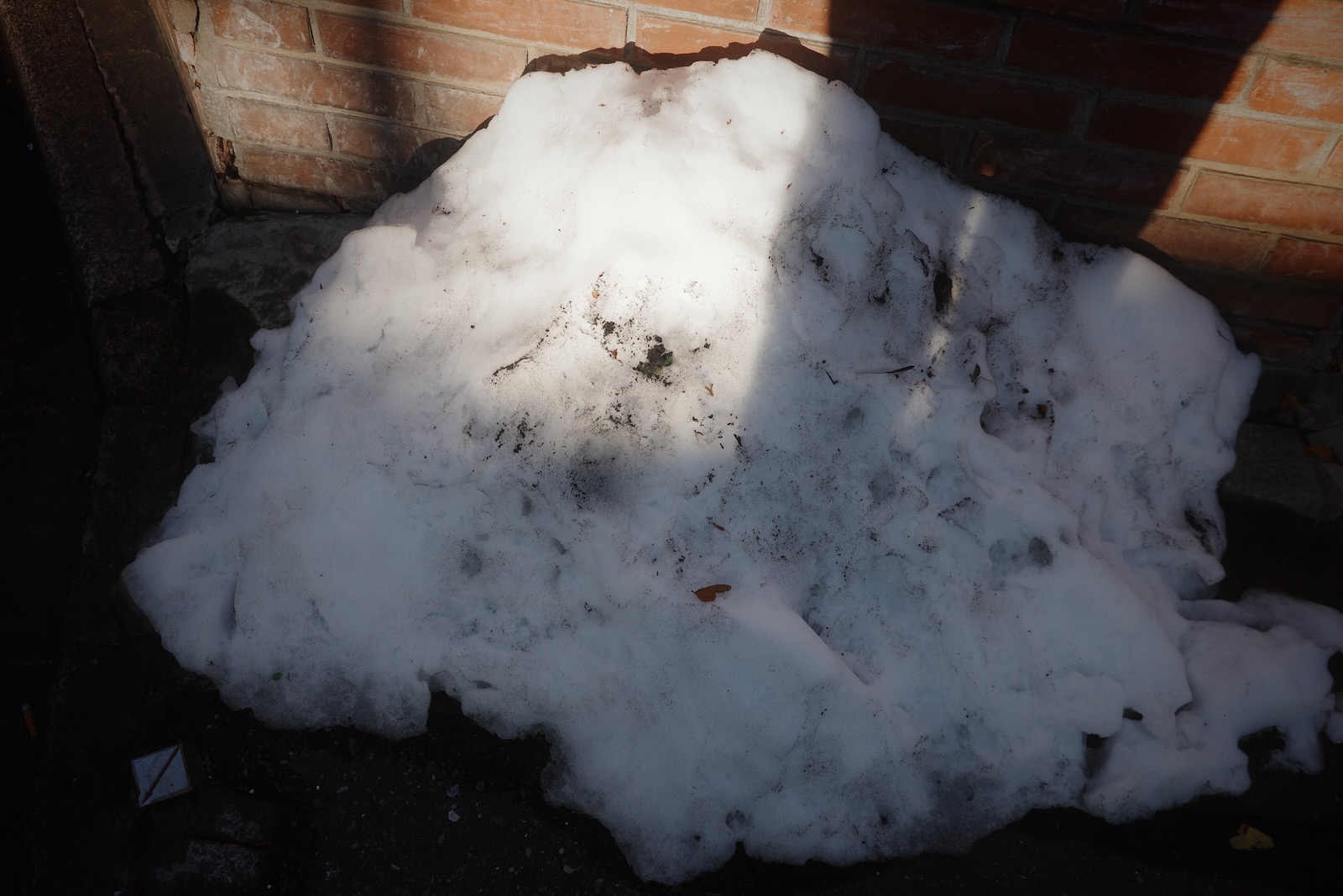 雪！！！！！