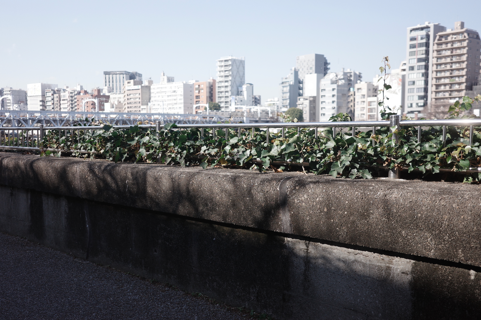 隅田川