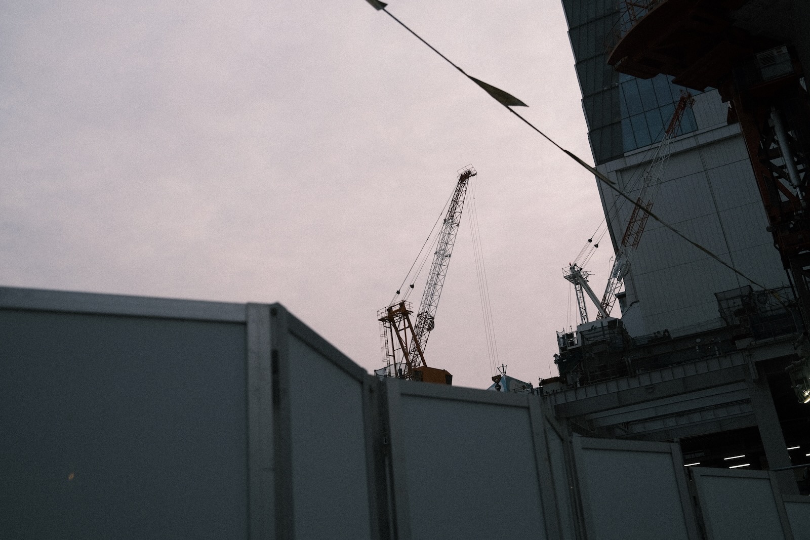 朝