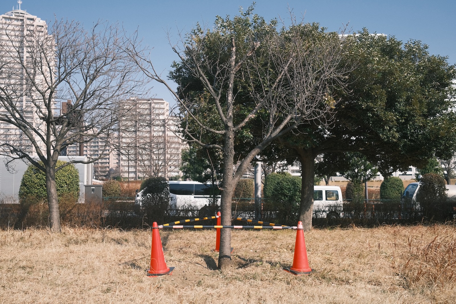 散歩