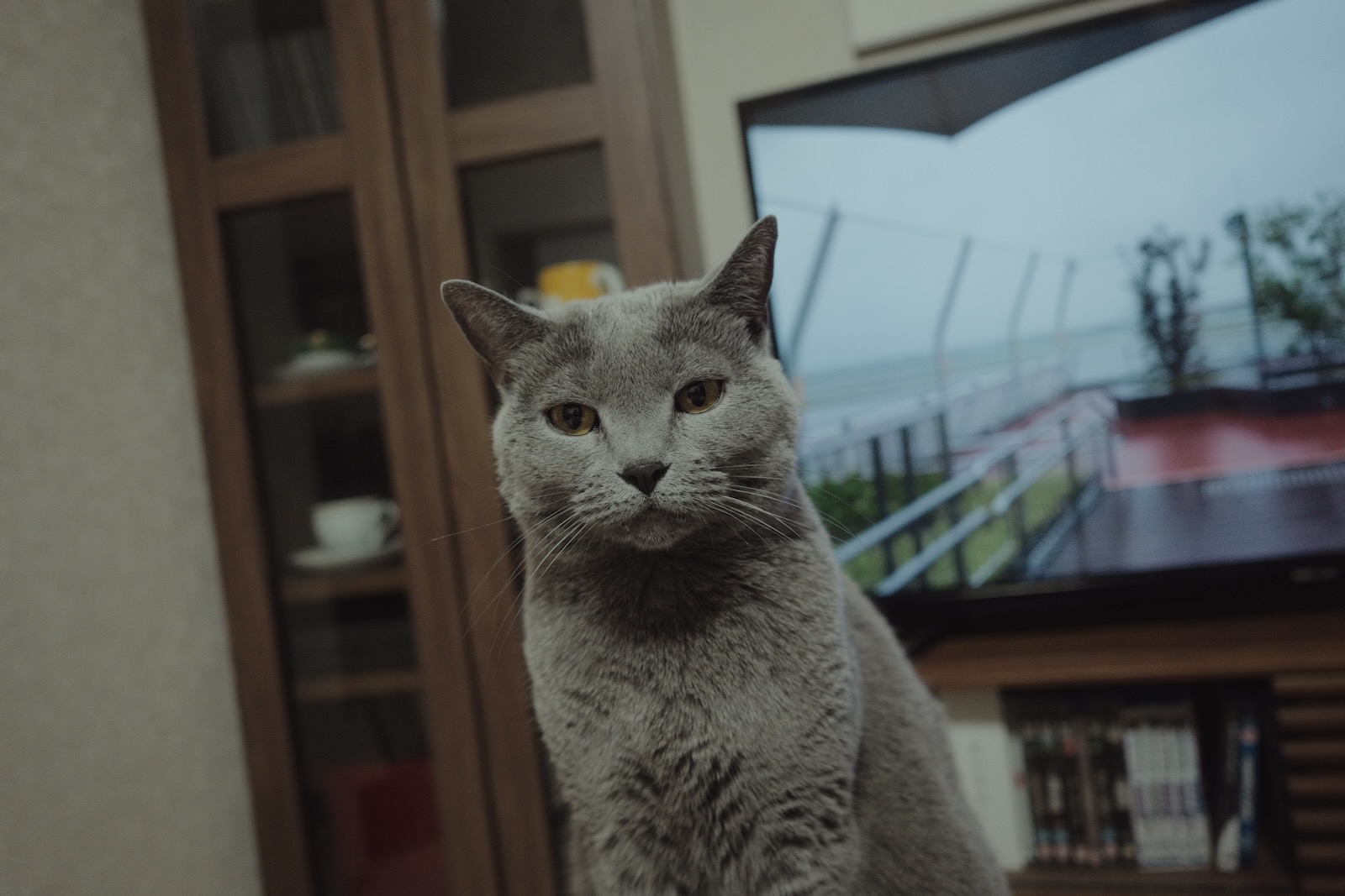 速写