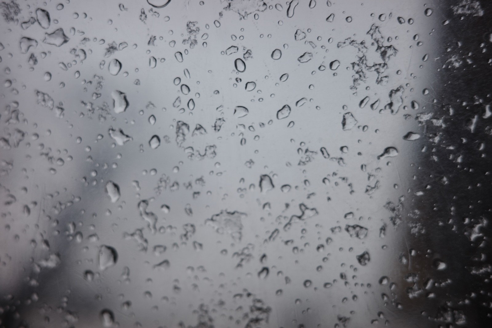 雨