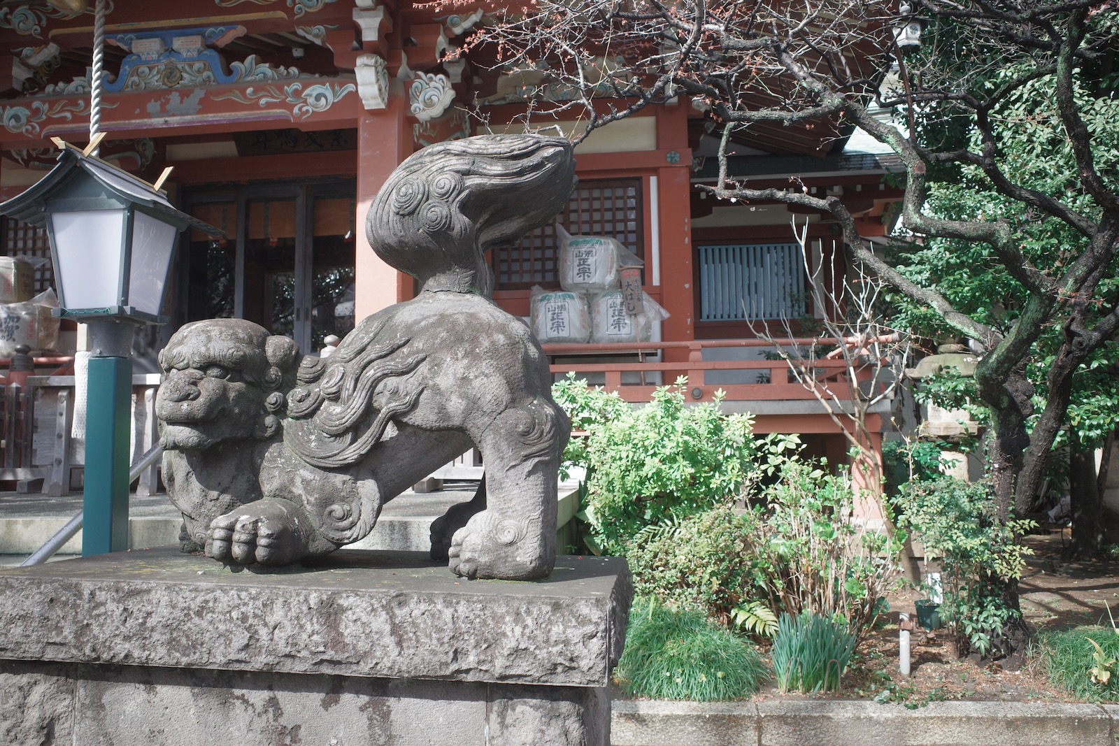 晴れ
