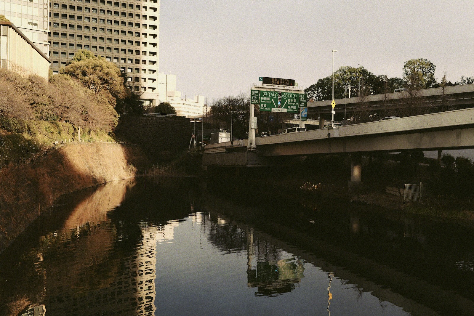 東京の冬