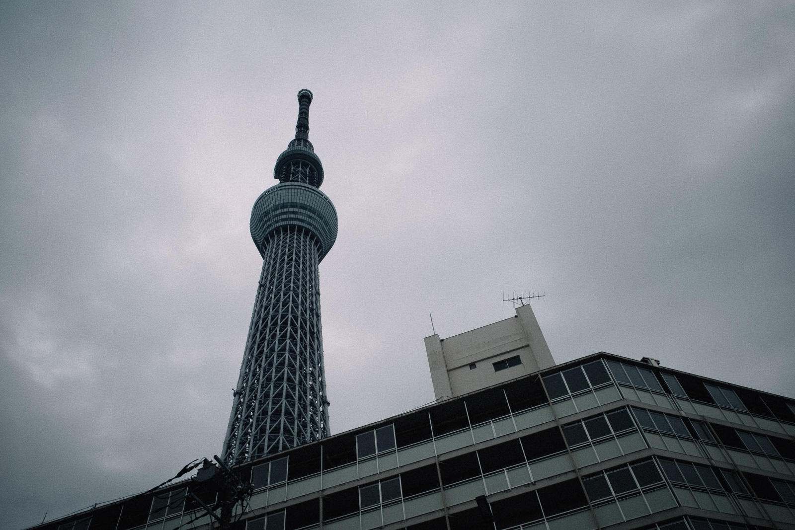 スカイツリー