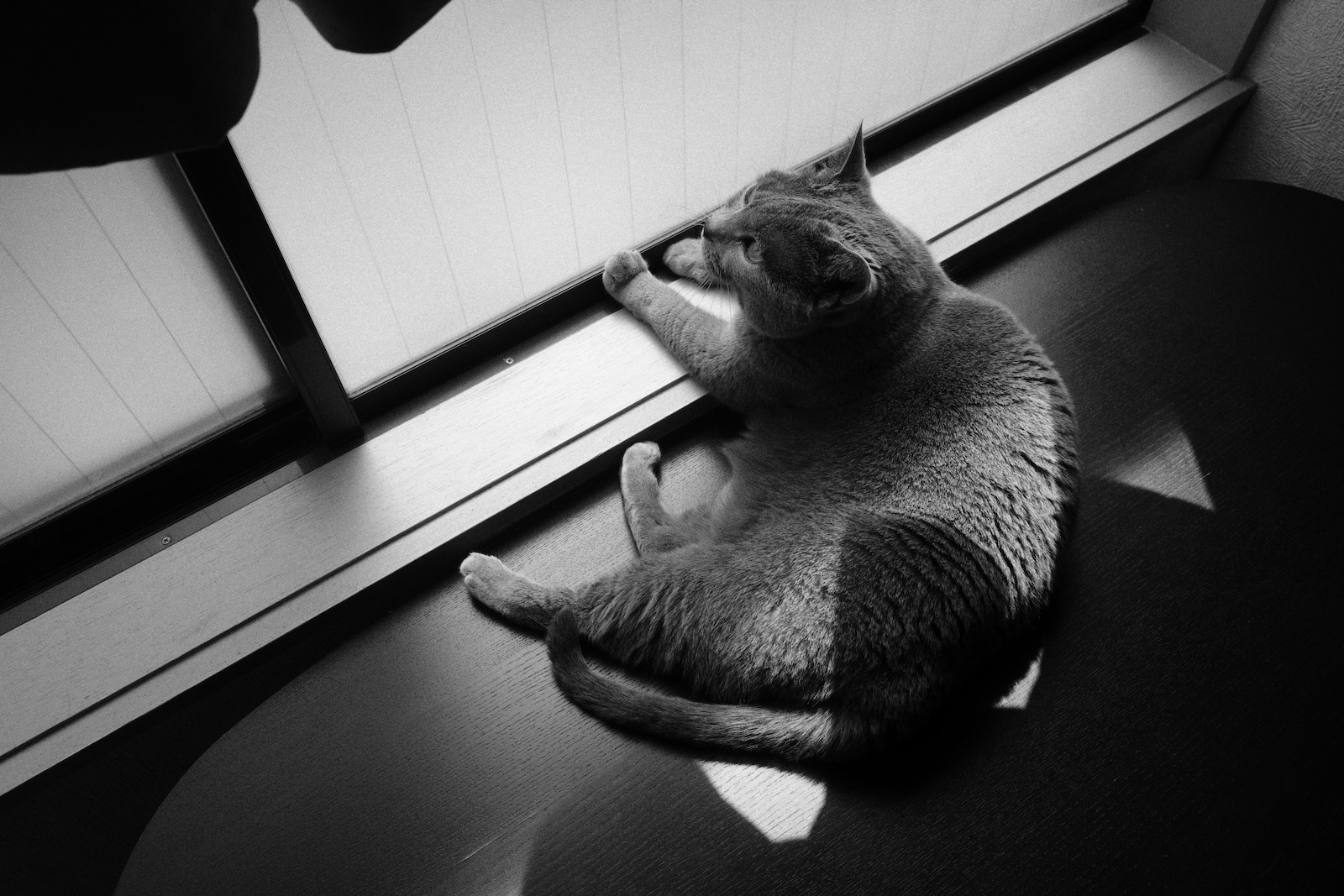 速写