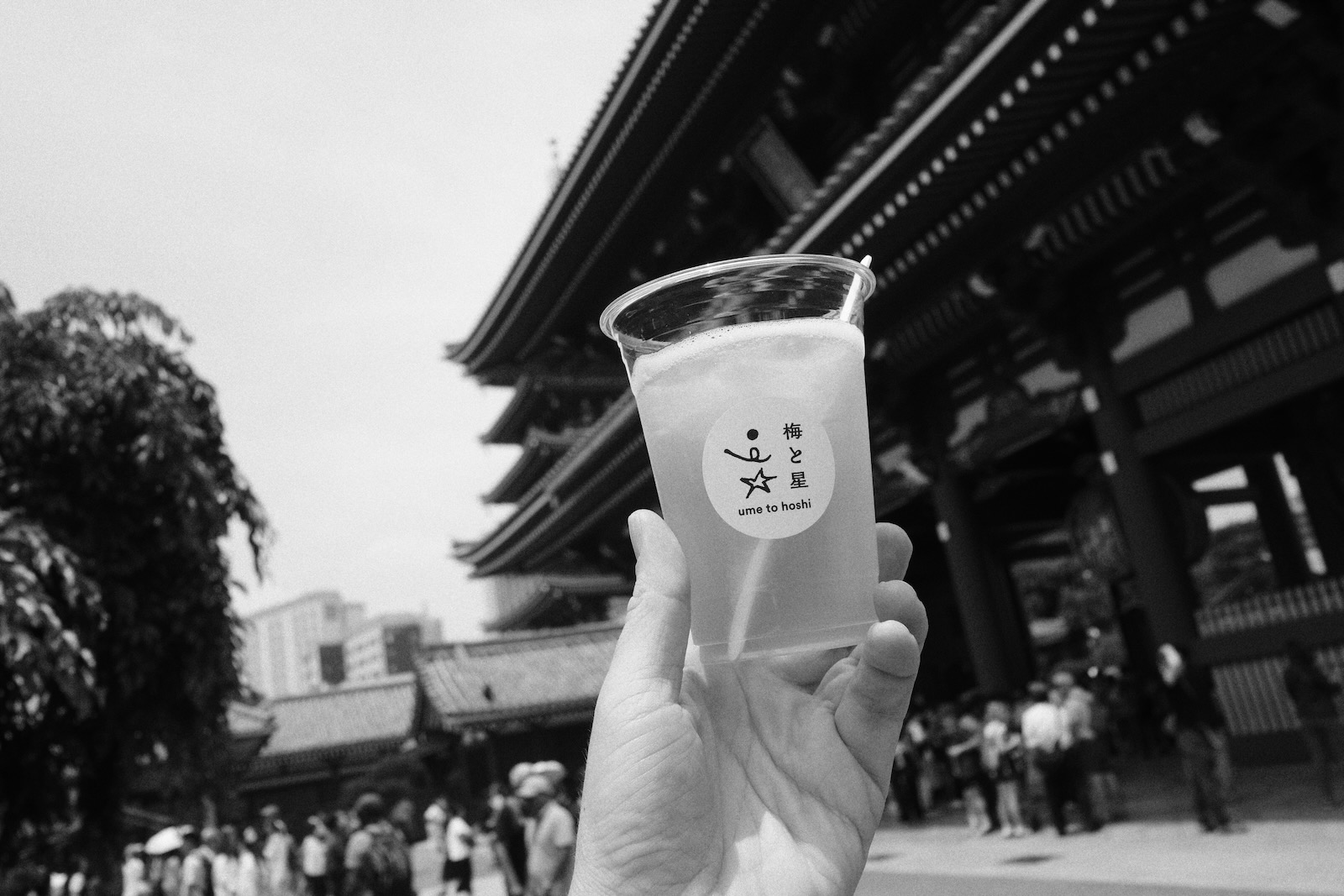 速写
