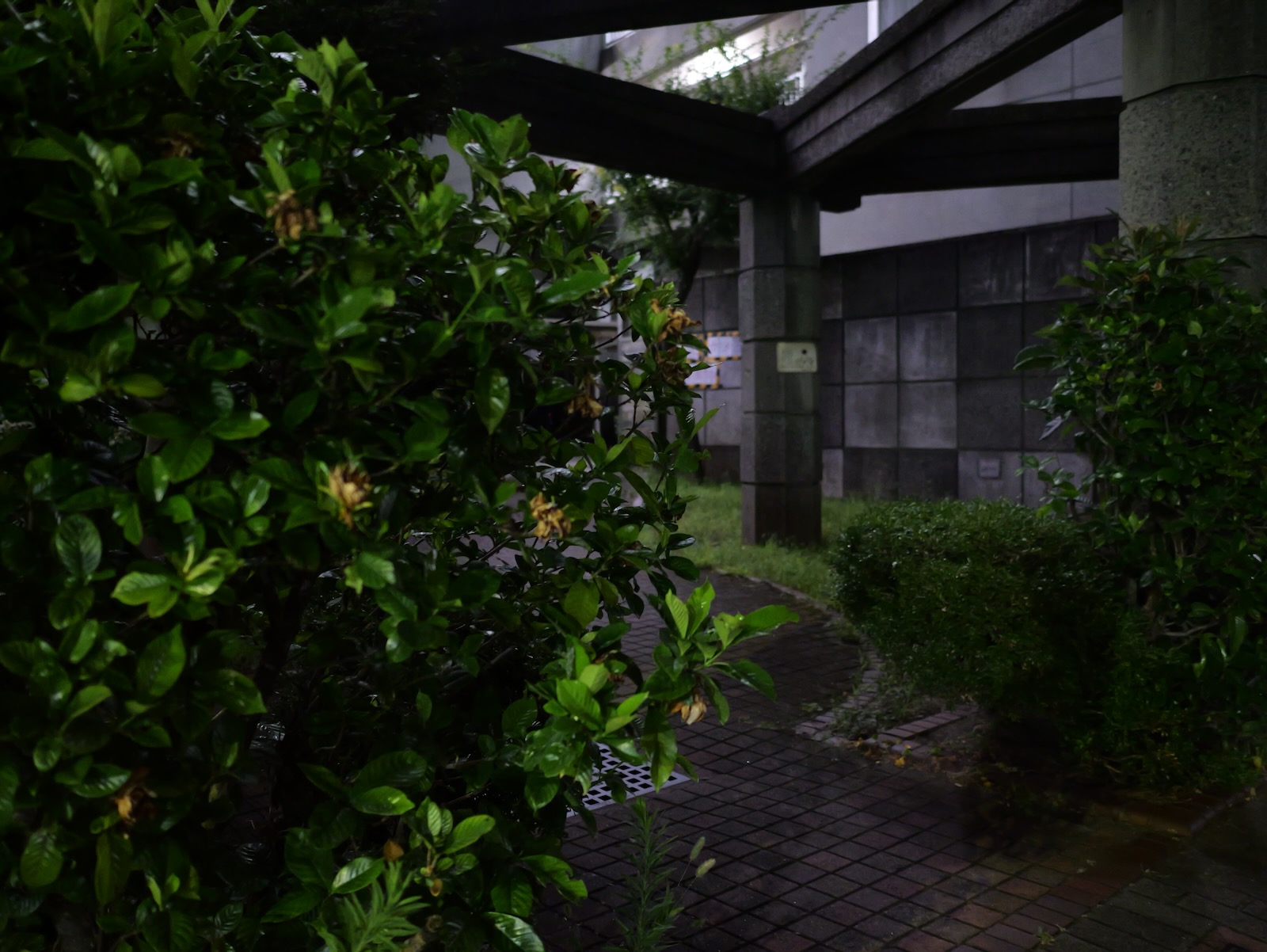 散歩