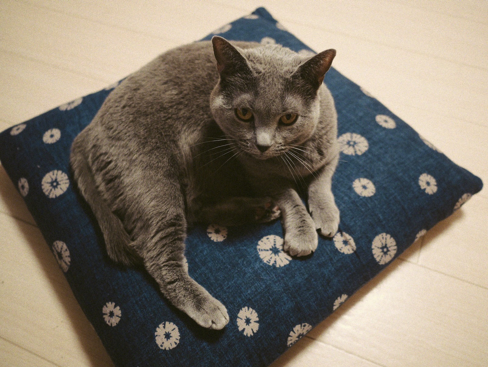 梅ちゃん