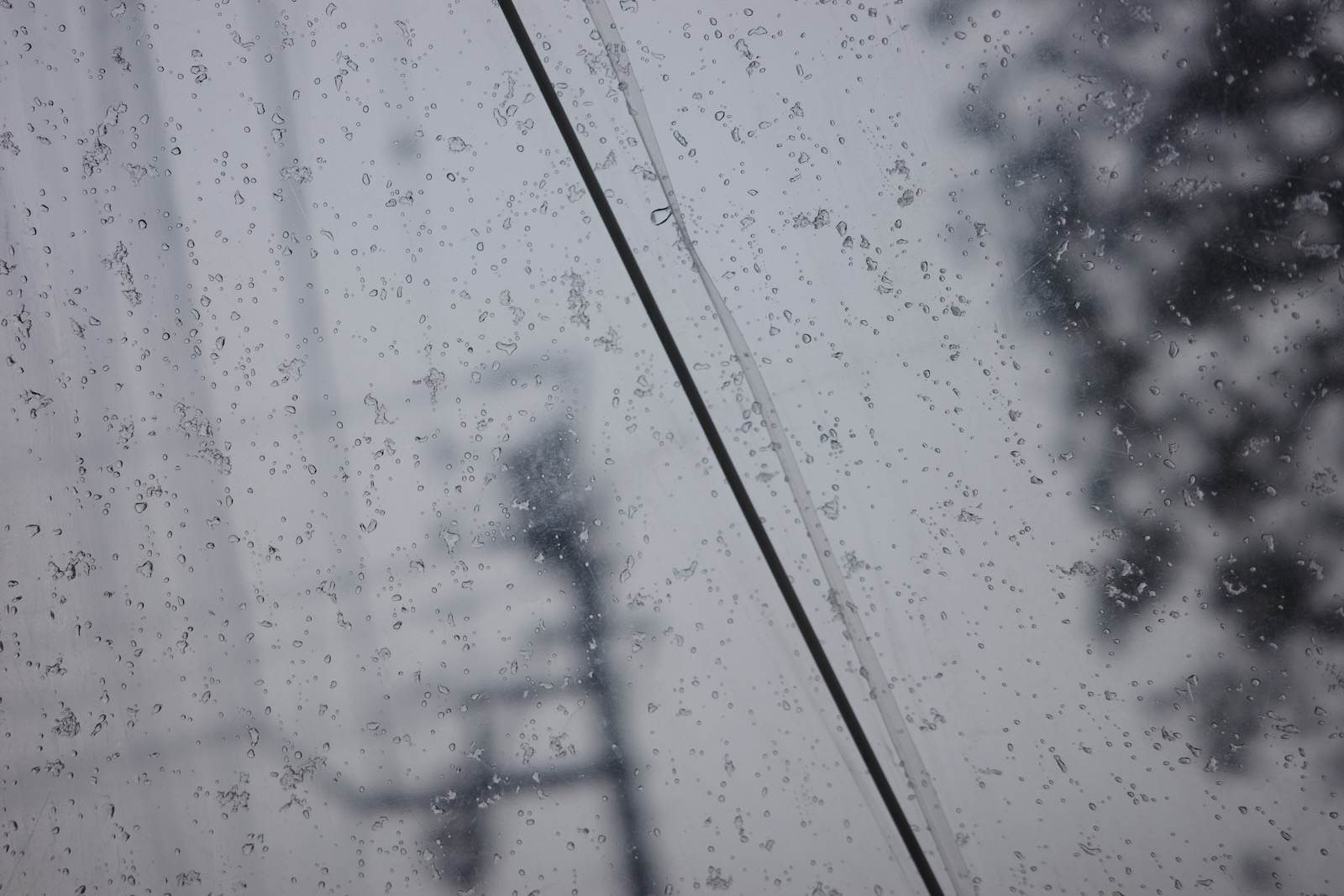 雨