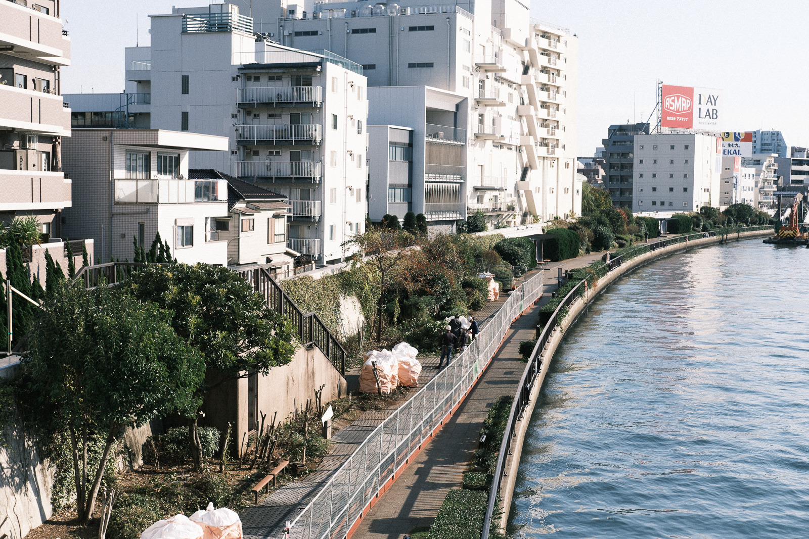 隅田川