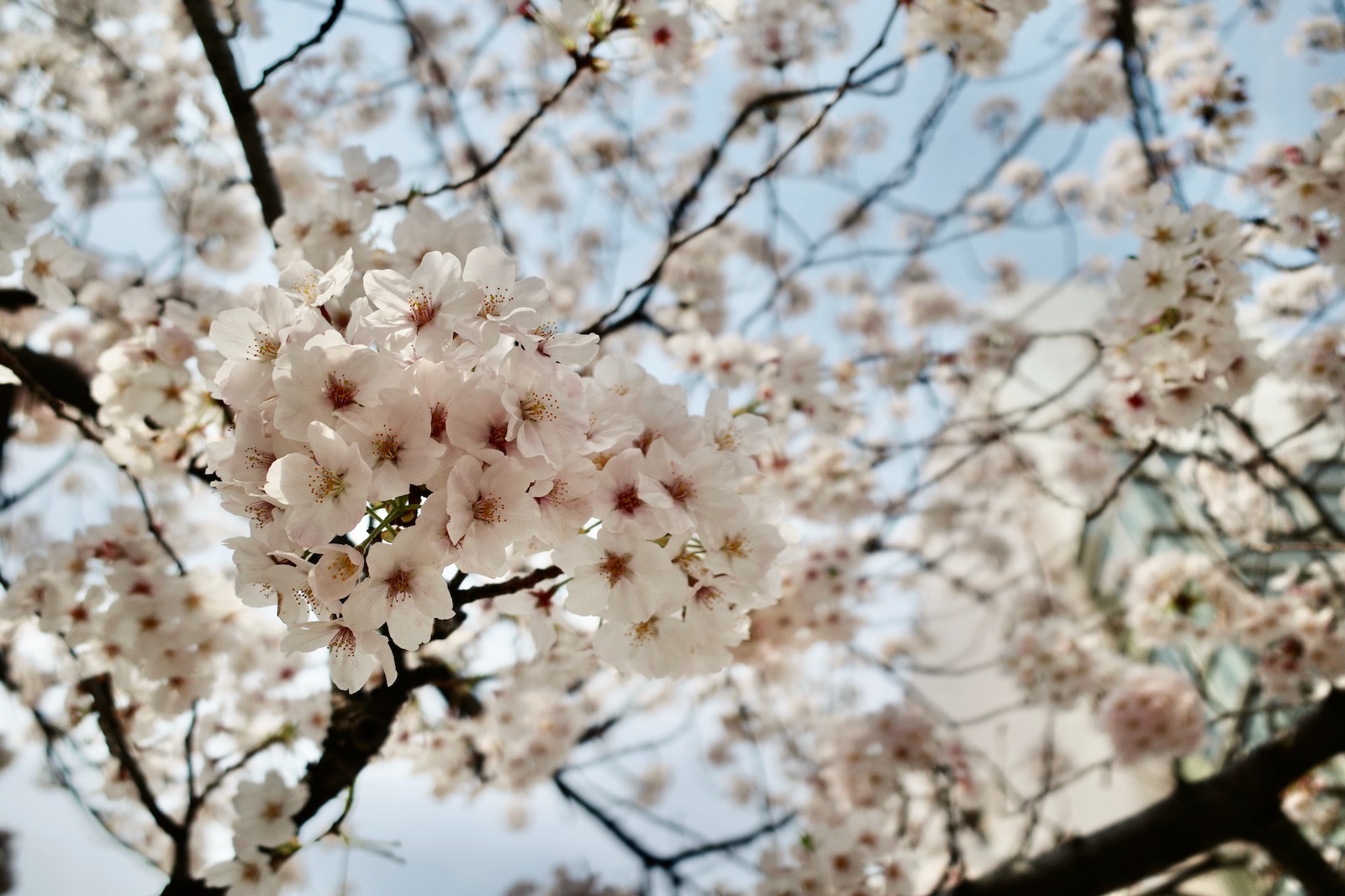 散歩