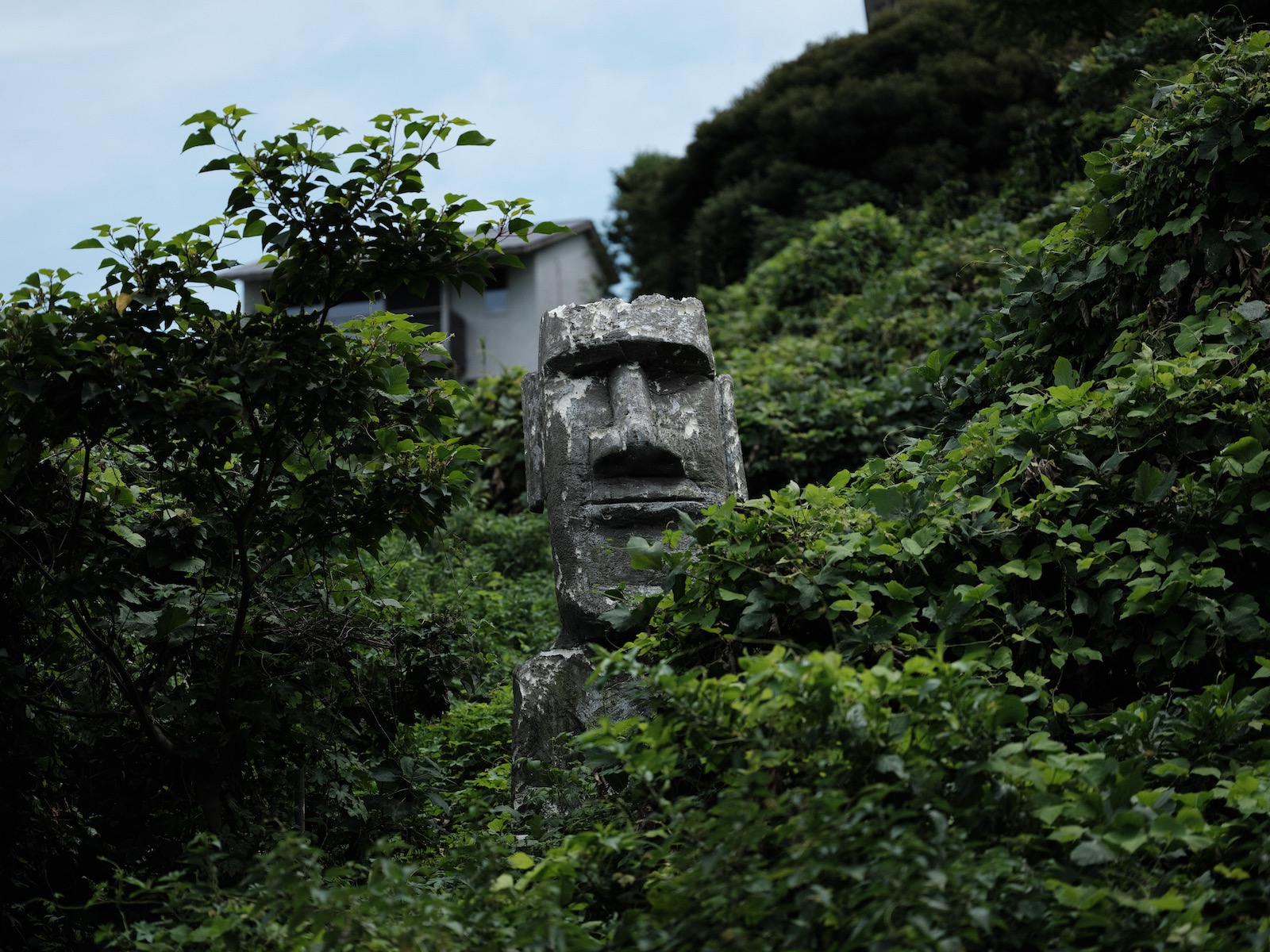 🗿