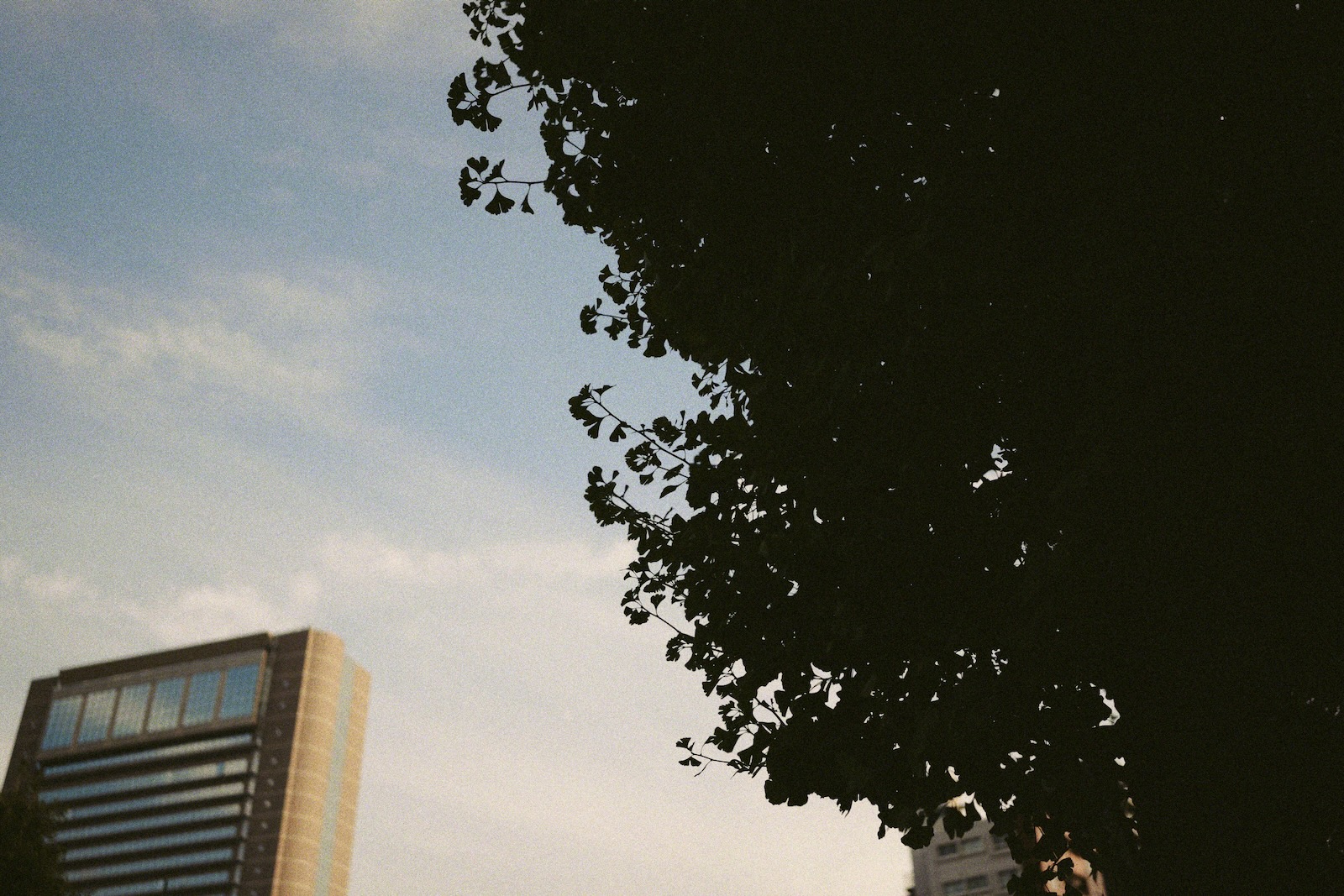 散歩