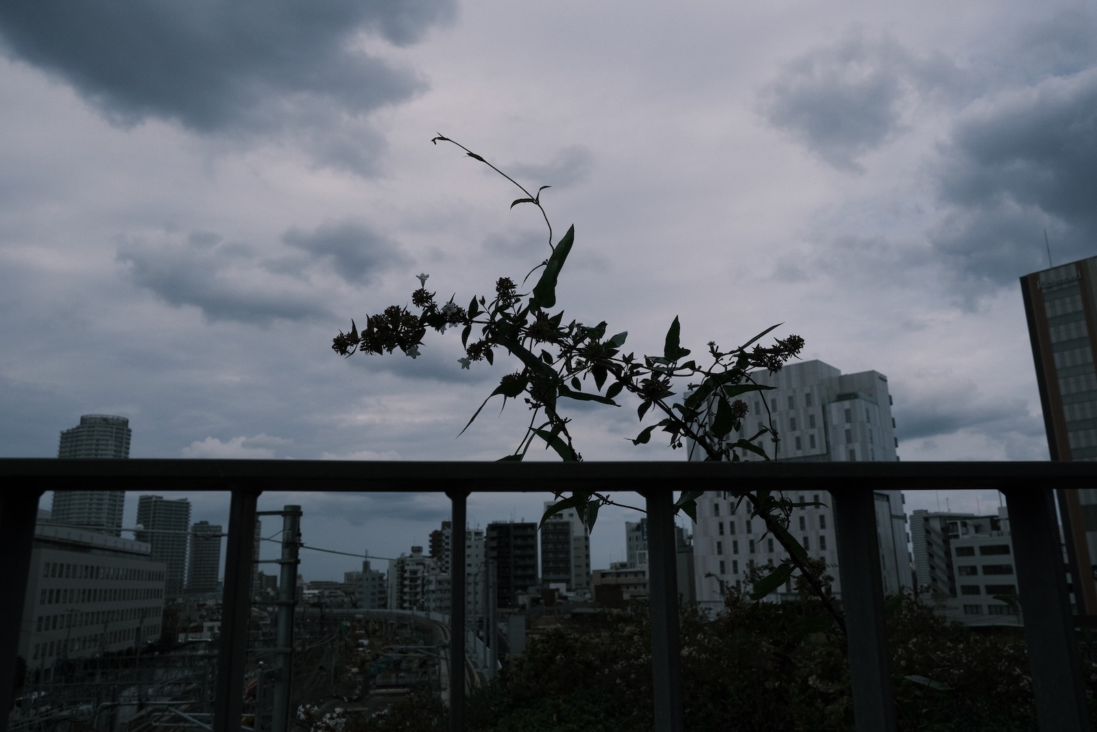 散歩